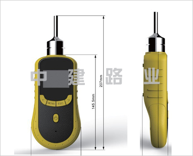 泵吸式硫化氫濃度檢測(cè)儀